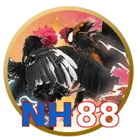 NH88