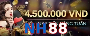 NH88
