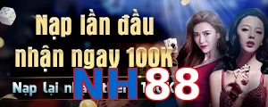 NH88